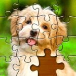 Jigsaw Puzzles Picture Puzzle Unlimited Money Mod Apk VARY
