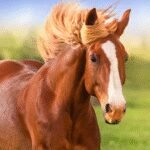 The Horse Unlimited Money Mod Apk 1.1.9